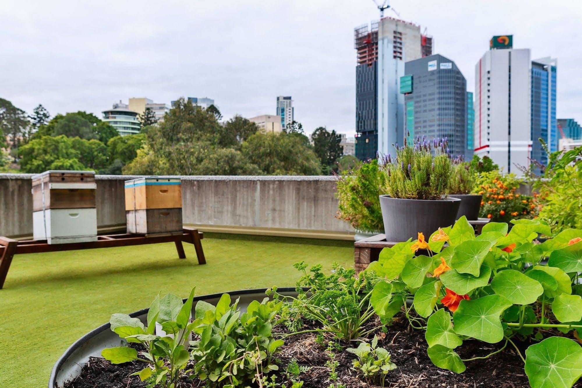 Hotel Jen Brisbane Ngoại thất bức ảnh